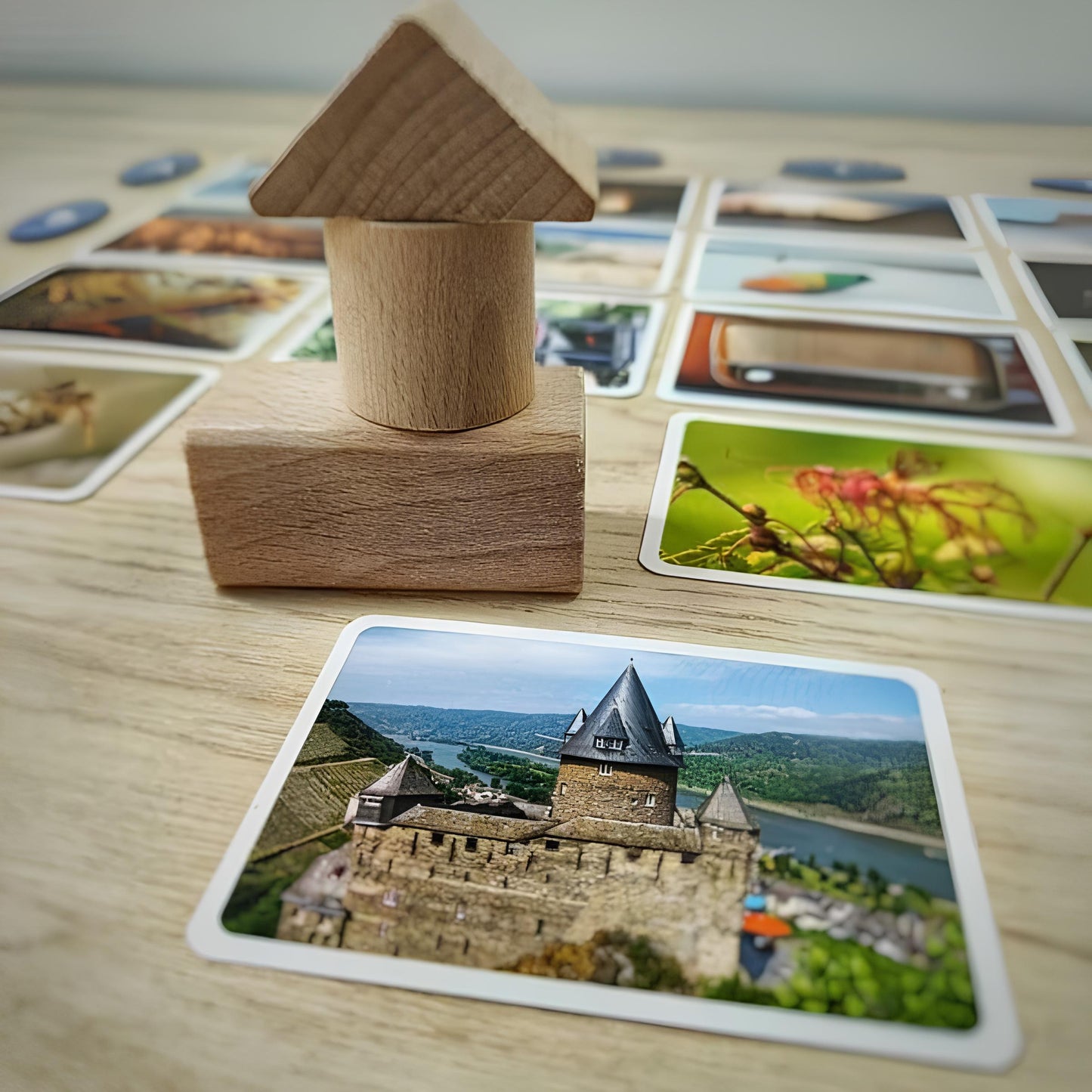 限時85折~《巧手猜圖Pictures》 (繁體中文版)