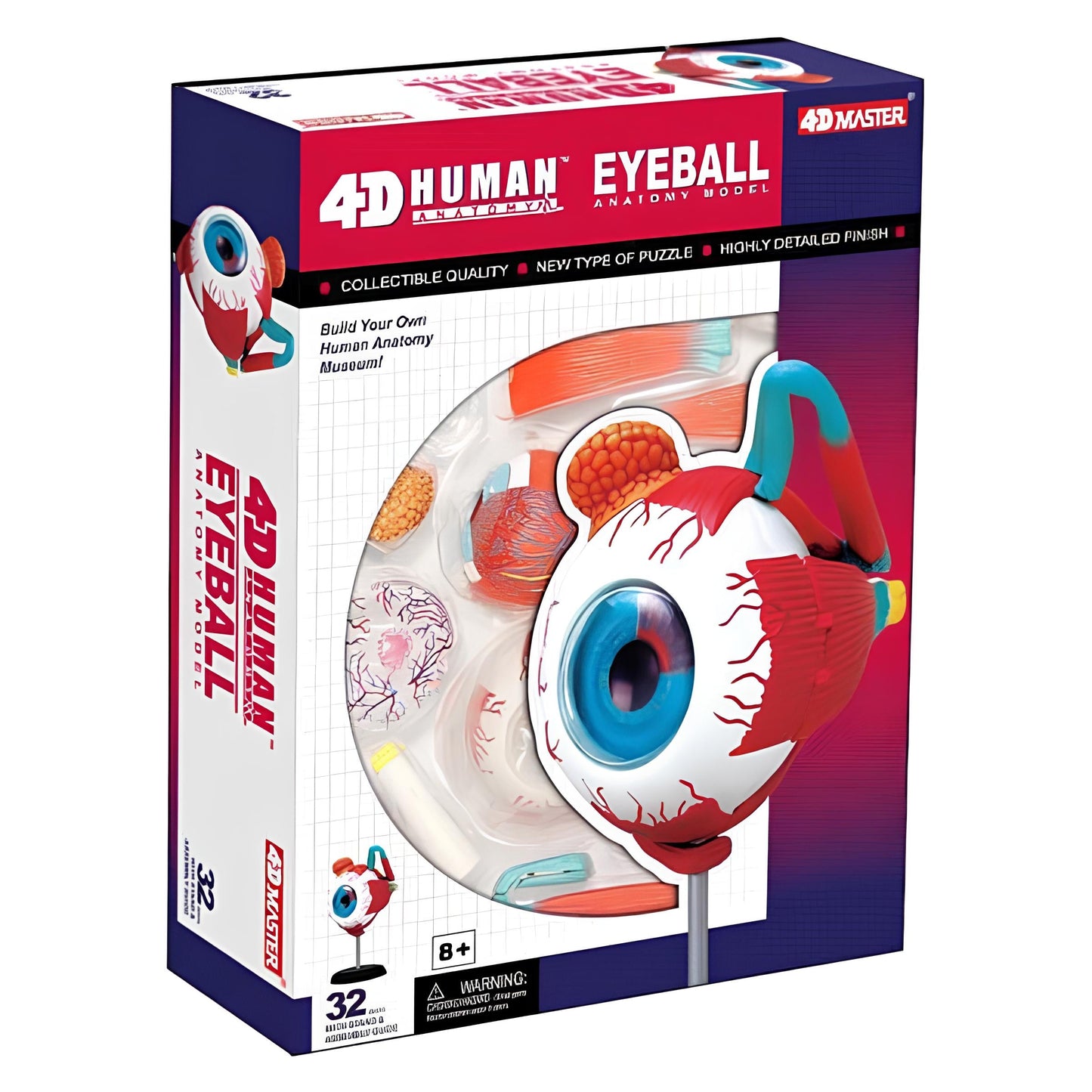 4D眼球解剖模型