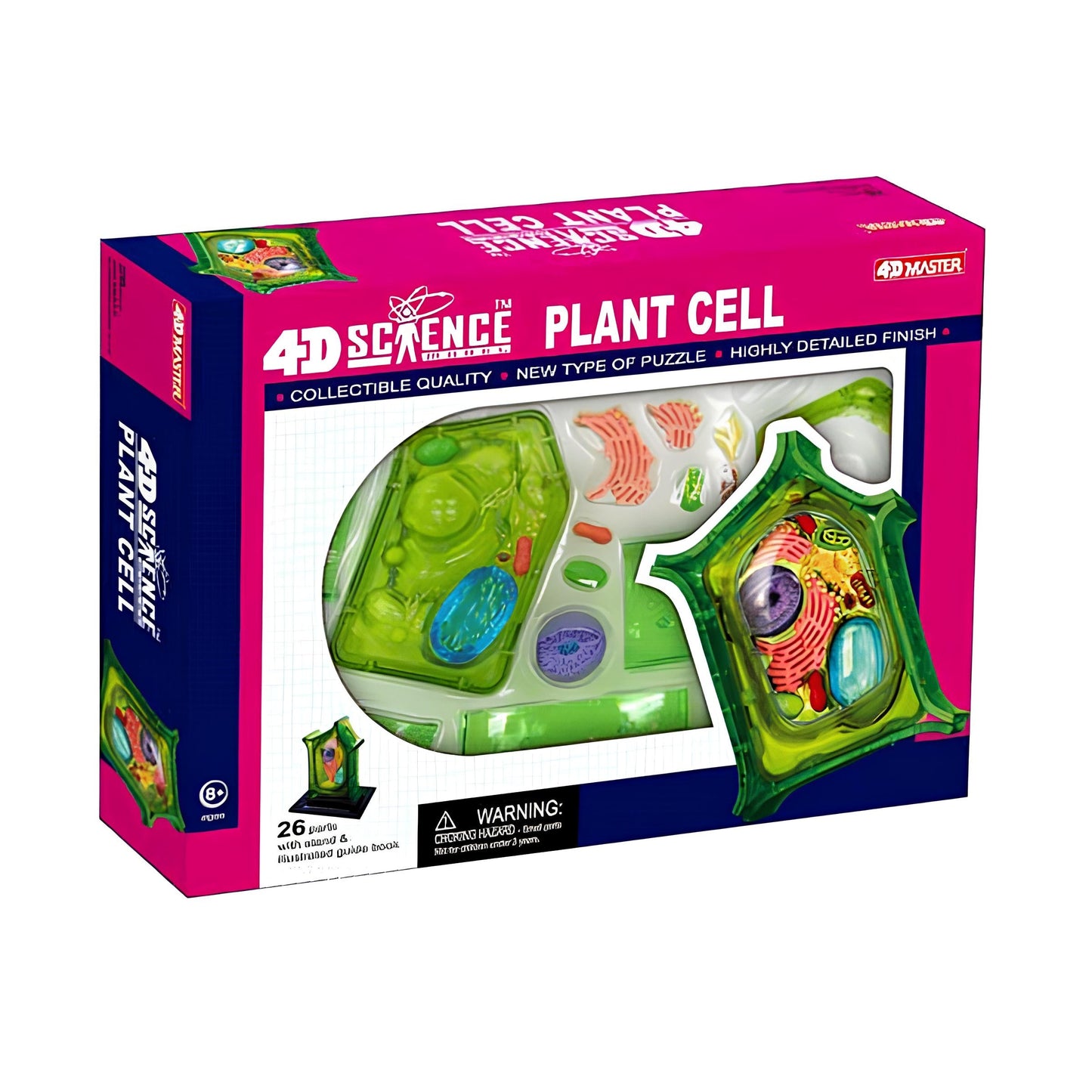 4D植物細胞組合模型