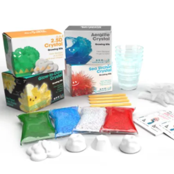 Eagle's 益科思《小小觀察家系列 - 全套》 (4盒)