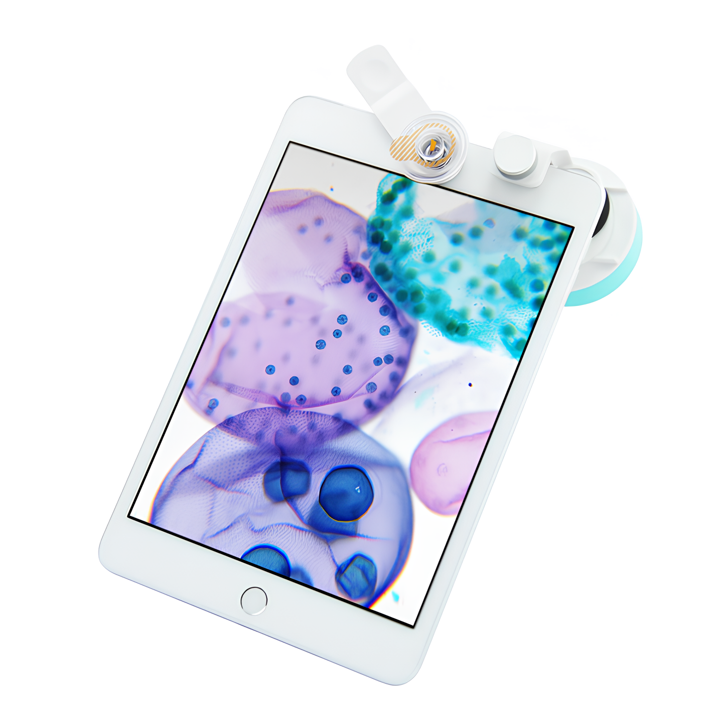 結帳輸入"lovemicro"折500元~行動顯微鏡 uHandy Duet行動生物顯微鏡(二重奏)