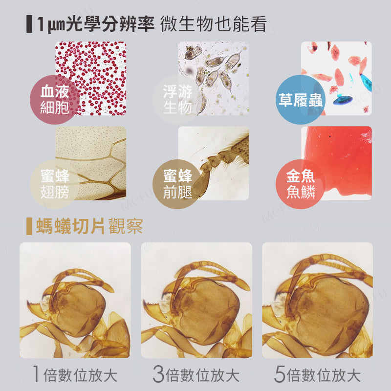 APEXEL 400~1600倍戶外便攜顯微鏡含座套組-APL-MS003
