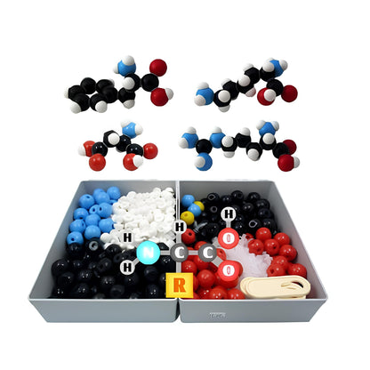 Molymod《MN-K12120 20種胺基酸模型》