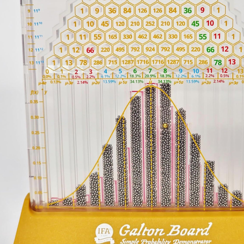 新品88折只到1/23～美國IFA高爾頓板(入門款)