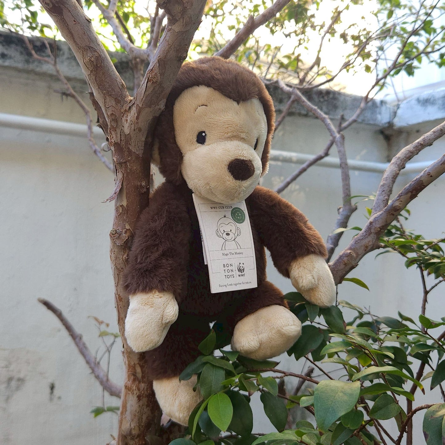 BON TON TOYS x WWF｜ECO環保猴子玩偶-馬果 咖啡 29cm