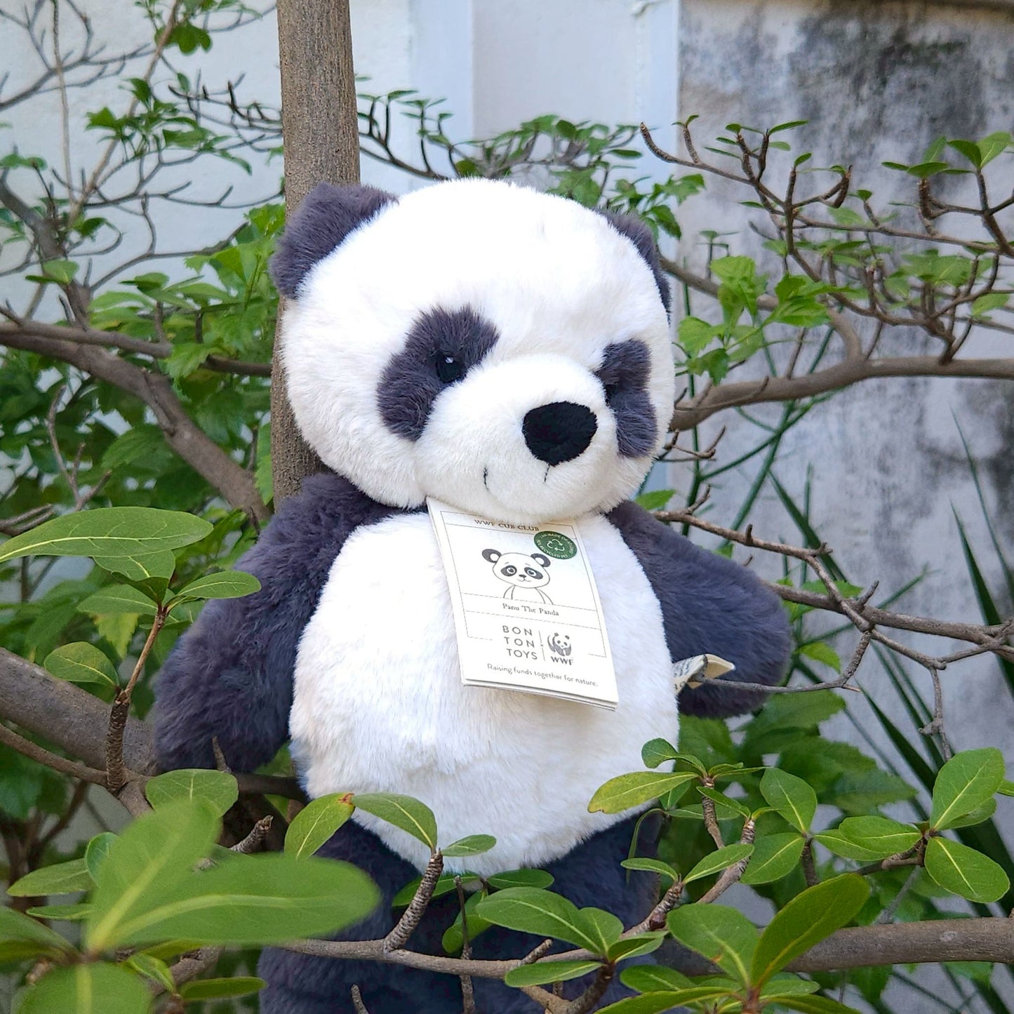 BON TON TOYS x WWF｜ECO環保熊貓玩偶-帕努 29cm