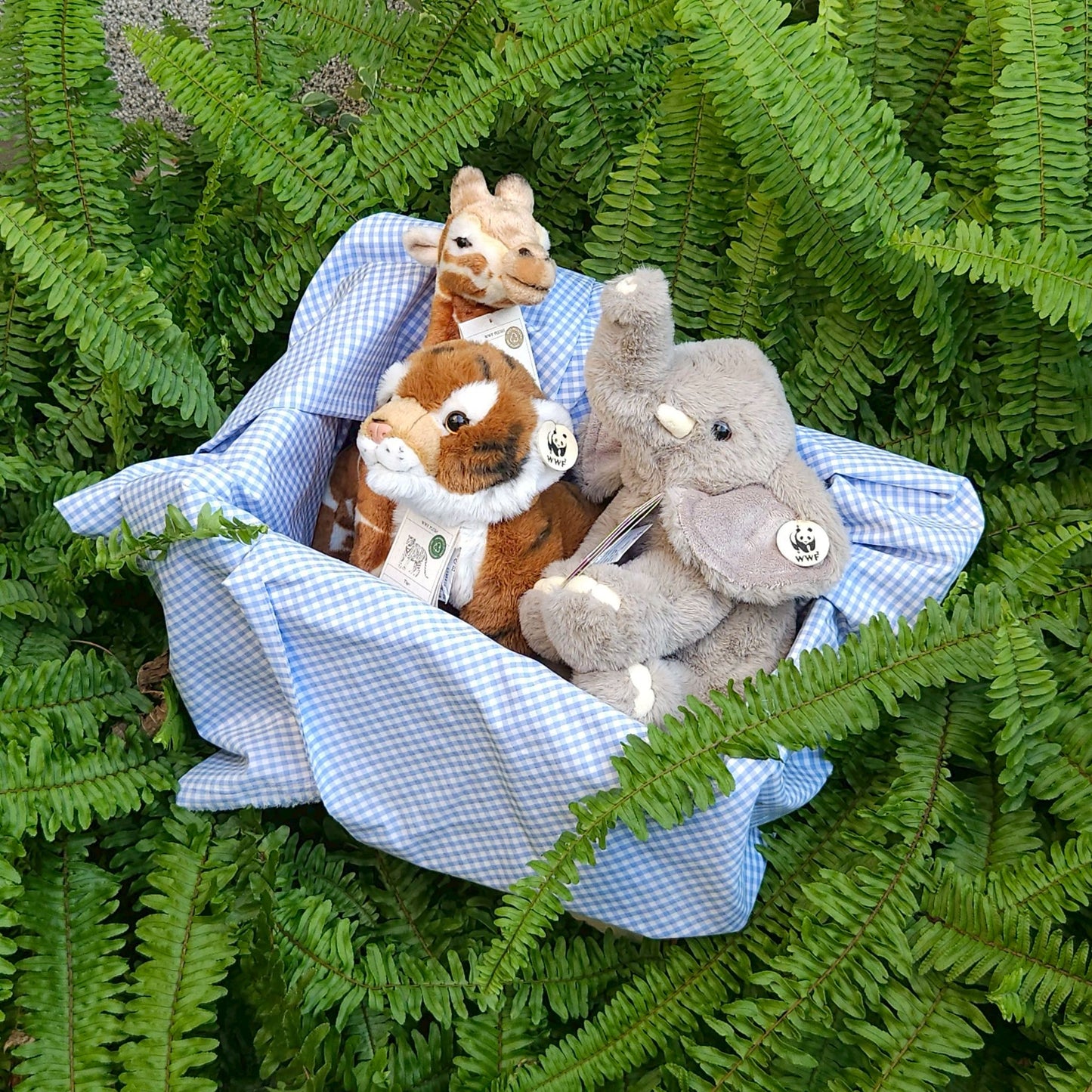 BON TON TOYS x WWF｜ECO環保柔軟大象玩偶-23cm