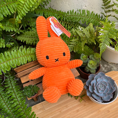 BON TON TOYS｜Miffy米菲兔ECO燈芯絨填充玩偶-限量版 橘 23cm