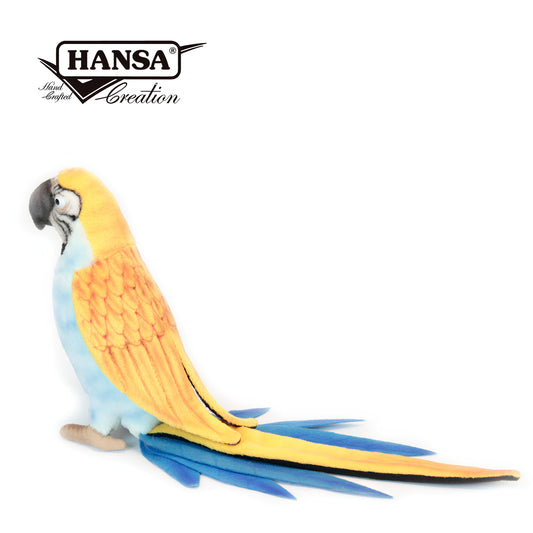 Hansa 3325-藍腹鸚鵡37公分高