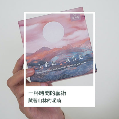 普洱張王府樹 - 三角立體茶包2.5公克*10入